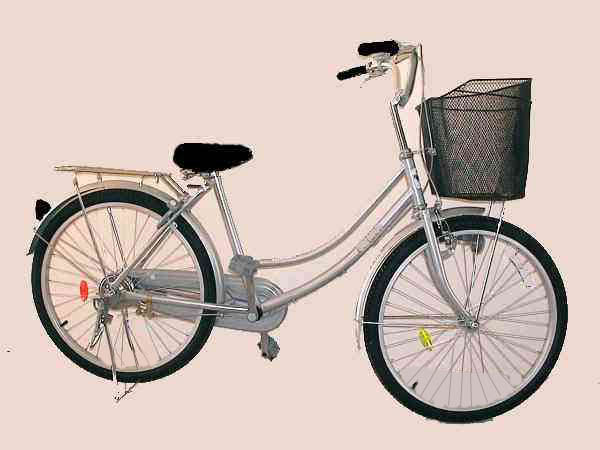 24 Lady Bike.JPG (41797 bytes)